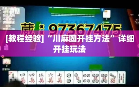 [教程经验]“川麻圈开挂方法”详细开挂玩法