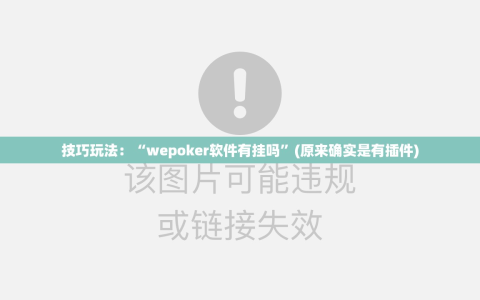 技巧玩法：“wepoker软件有挂吗”(原来确实是有插件)