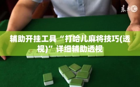辅助开挂工具“打哈儿麻将技巧(透视)”详细辅助透视