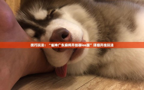技巧玩法：“雀神广东麻将开挂器ios版”详细开挂玩法
