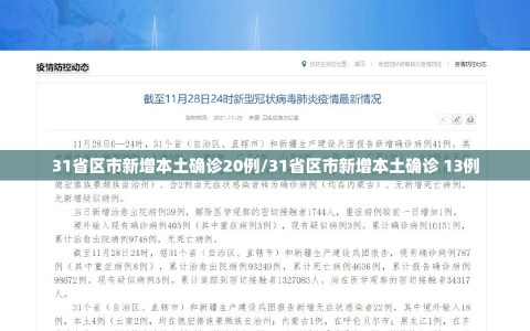 31省区市新增本土确诊20例/31省区市新增本土确诊 13例