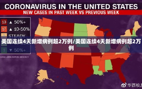 美国连续4天新增病例超2万例/美国连续4天新增病例超2万例