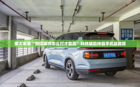 重大来袭“微信麻将怎么打才能赢”科技辅助神器手机版教程
