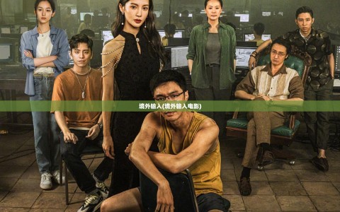 境外输入(境外输入电影)