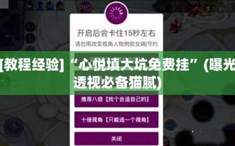 [教程经验]“心悦填大坑免费挂”(曝光透视必备猫腻)