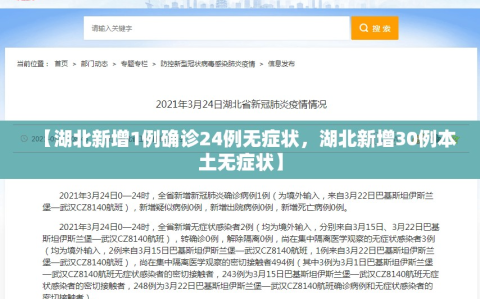 【湖北新增1例确诊24例无症状，湖北新增30例本土无症状】