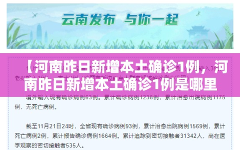 【河南昨日新增本土确诊1例，河南昨日新增本土确诊1例是哪里的】