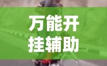 万能开挂辅助“手机斗地主怎么能拿到好牌”分享装挂详细步骤