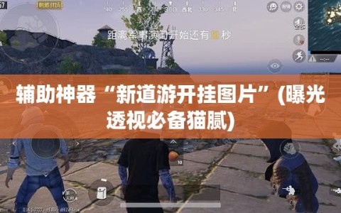 辅助神器“新道游开挂图片”(曝光透视必备猫腻)