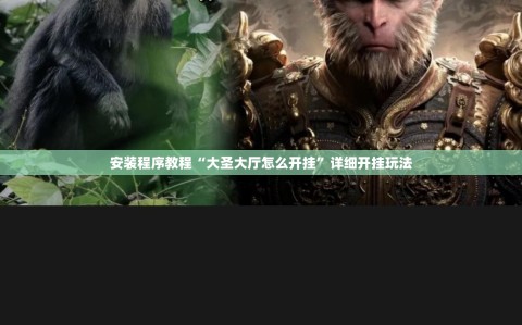 安装程序教程“大圣大厅怎么开挂”详细开挂玩法