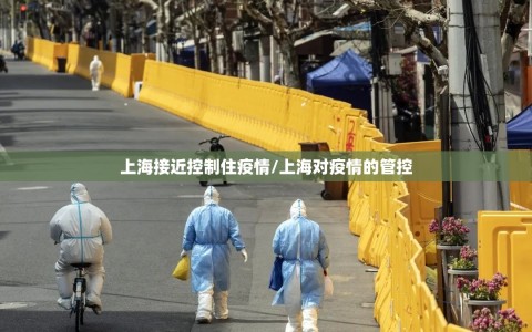 上海接近控制住疫情/上海对疫情的管控
