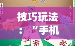 技巧玩法：“手机跑胡子辅助软件开挂”(原来确实是有插件)