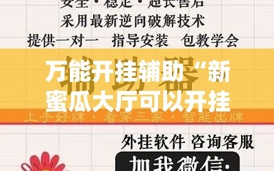 万能开挂辅助“新蜜瓜大厅可以开挂吗(透视)”详细辅助透视
