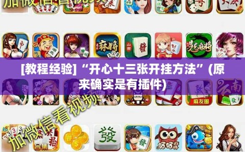 [教程经验]“开心十三张开挂方法”(原来确实是有插件)