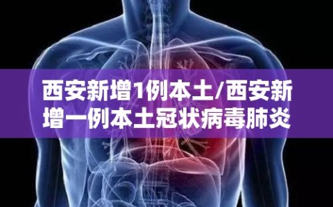 西安新增1例本土/西安新增一例本土冠状病毒肺炎