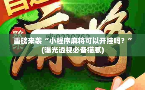 重磅来袭“小程序麻将可以开挂吗？”(曝光透视必备猫腻)