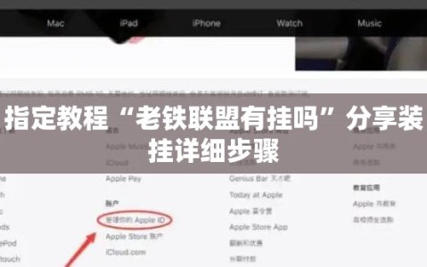 指定教程“老铁联盟有挂吗”分享装挂详细步骤