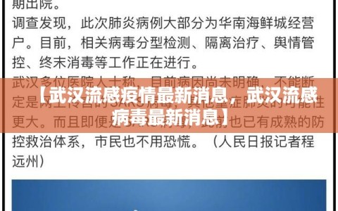 【武汉流感疫情最新消息，武汉流感病毒最新消息】
