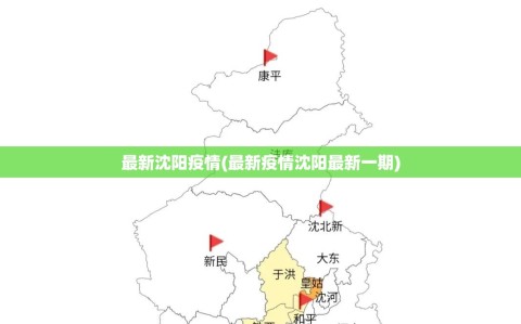 最新沈阳疫情(最新疫情沈阳最新一期)