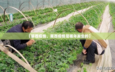 【莱西疫情，莱西疫情是哪年发生的】