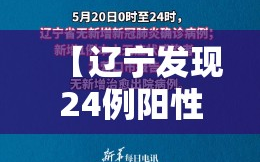 【辽宁发现24例阳性，辽宁发现一例新型肺炎】