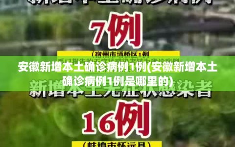 安徽新增本土确诊病例1例(安徽新增本土确诊病例1例是哪里的)