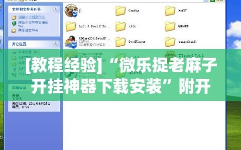 [教程经验]“微乐捉老麻子开挂神器下载安装”附开挂脚本详细教程