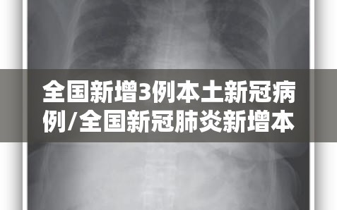 全国新增3例本土新冠病例/全国新冠肺炎新增本土病例