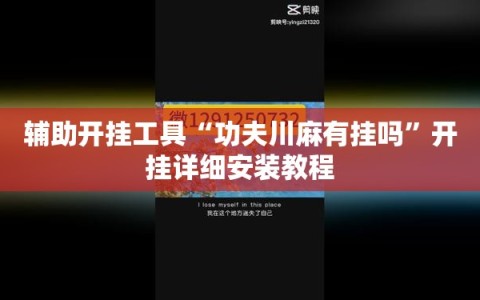 辅助开挂工具“功夫川麻有挂吗”开挂详细安装教程