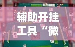辅助开挂工具“微乐亲友房可以开挂吗”开挂(透视)辅助神器