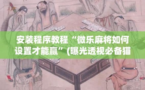 安装程序教程“微乐麻将如何设置才能赢”(曝光透视必备猫腻)