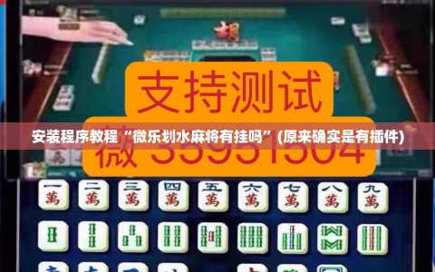 安装程序教程“微乐划水麻将有挂吗”(原来确实是有插件)