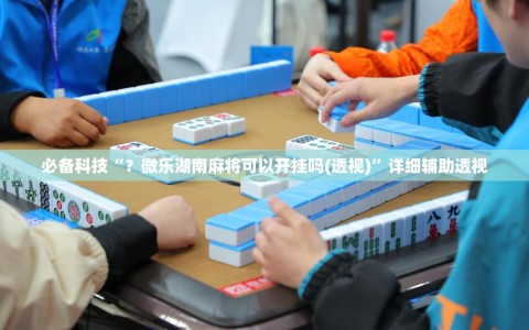 必备科技“？微乐湖南麻将可以开挂吗(透视)”详细辅助透视