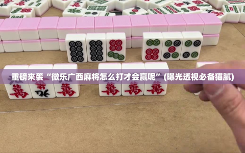 重磅来袭“微乐广西麻将怎么打才会赢呢”(曝光透视必备猫腻)
