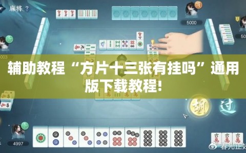 辅助教程“方片十三张有挂吗”通用版下载教程!