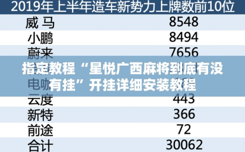 指定教程“星悦广西麻将到底有没有挂”开挂详细安装教程
