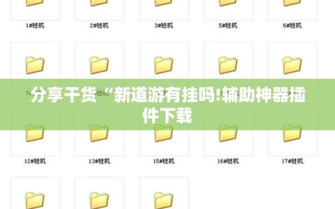 分享干货“新道游有挂吗!辅助神器插件下载