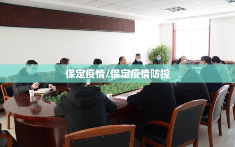 保定疫情/保定疫情防控