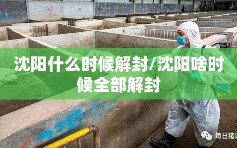 沈阳什么时候解封/沈阳啥时候全部解封