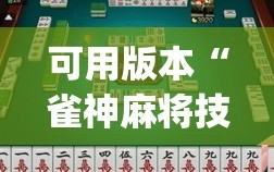 可用版本“雀神麻将技巧(透视)”详细辅助透视