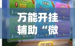万能开挂辅助“微乐安徽麻将万能开挂器”科技辅助神器手机版教程