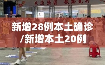 新增28例本土确诊/新增本土20例