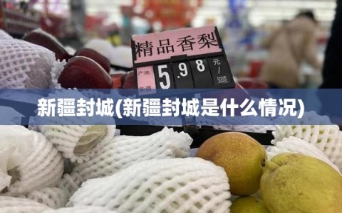 新疆封城(新疆封城是什么情况)