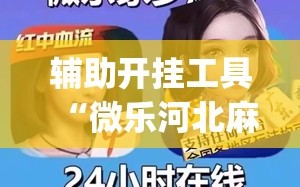 辅助开挂工具“微乐河北麻将怎么一直赢(透视)”详细辅助透视