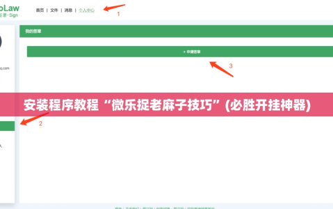 安装程序教程“微乐捉老麻子技巧”(必胜开挂神器)