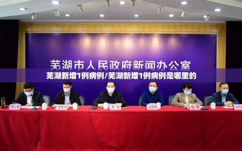 芜湖新增1例病例/芜湖新增1例病例是哪里的