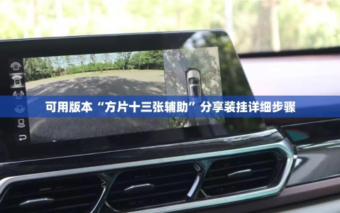 可用版本“方片十三张辅助”分享装挂详细步骤
