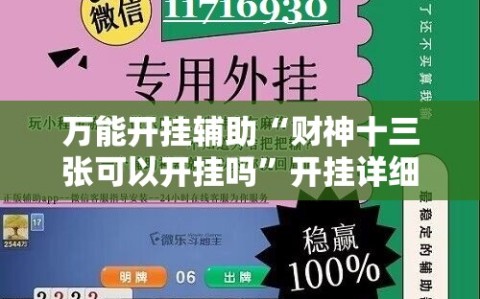 万能开挂辅助“财神十三张可以开挂吗”开挂详细安装教程