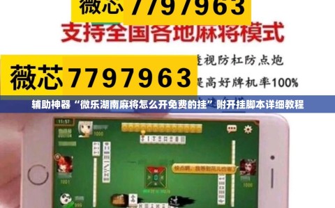 辅助神器“微乐湖南麻将怎么开免费的挂”附开挂脚本详细教程