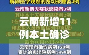 云南新增11例本土确诊病例(云南新增本土12例一)